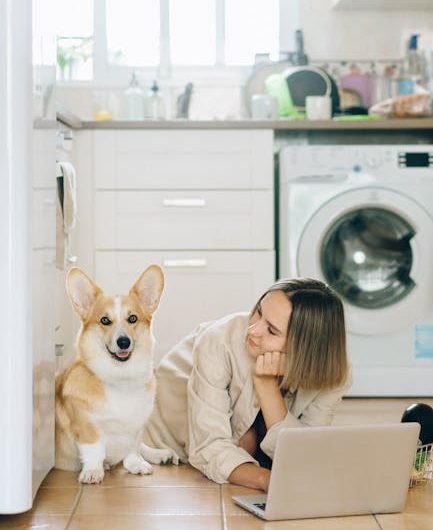 Замена шланга стиральной машины Electrolux в Санкт-Петербурге